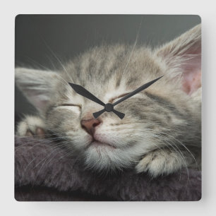 Relógio Quadrado Gatinho sonolento