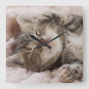 Relógio Quadrado Gatinho sonolento