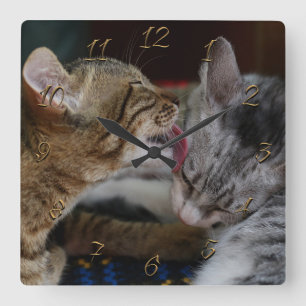 Relógio Quadrado Gatinhos bonitos