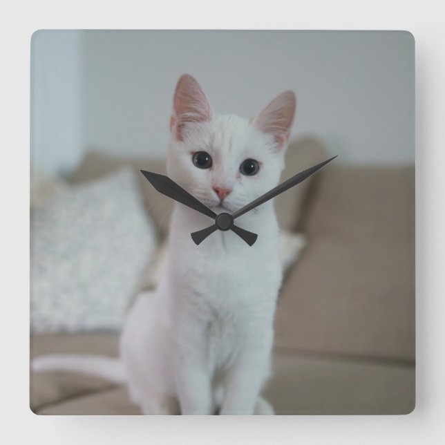 Relógio Quadrado Gato branco | Zazzle_Growth. (Frente)