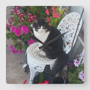 Relógio Quadrado Gato Tuxedo Marrom Rosa Escuro Gatos e Flores