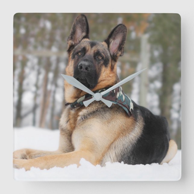 Relógio Quadrado German shepherd Na Neve (Frente)