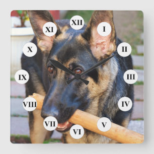 Relógio Quadrado German shepherd por Shirley Taylor