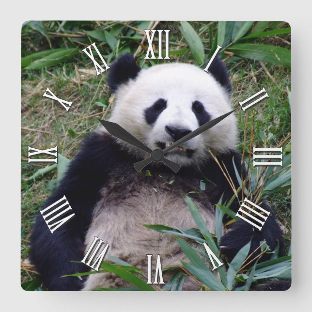 Relógio Quadrado Giant Panda Continue Sorrindo, China Animais (Frente)