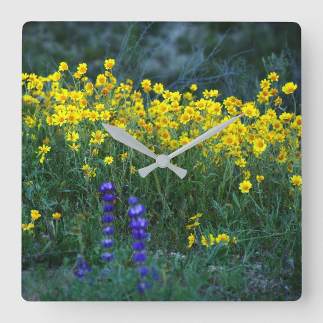 Relógio Quadrado Girassol e Lavanda (Frente)