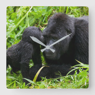 Relógio Quadrado Gorila da Montanha Criança beija Silverback Goril