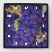 Grande Monte de Uvas Roxas Suculentas