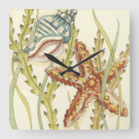 Grupo de Shell Multicolores