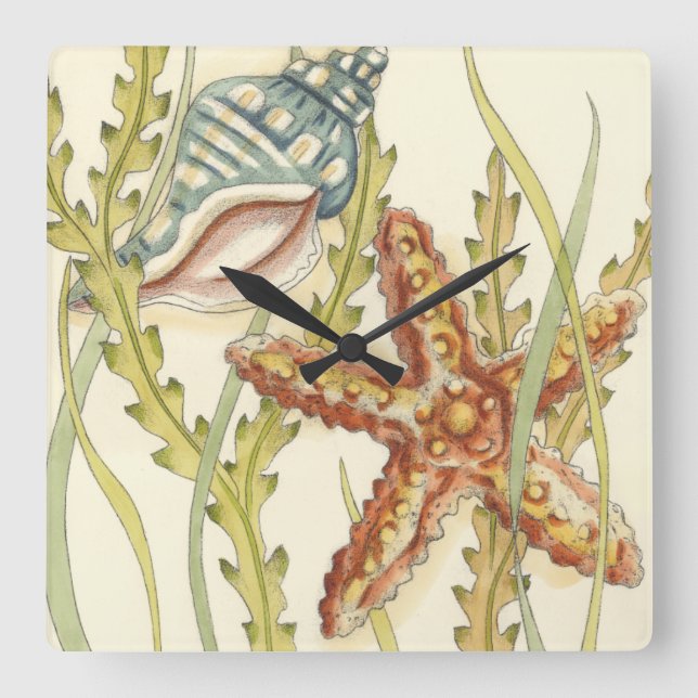 Relógio Quadrado Grupo de Shell Multicolores (Frente)