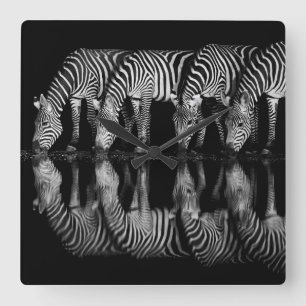 Relógio Quadrado Grupo de Zebras-da-planície Bebem Juntos à Noite