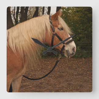 Relógio Quadrado Haflinger Wallach Mifisto - Wanduhr