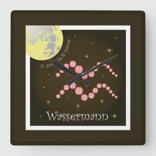 Relógio Quadrado Homem de água 21. janeiro até 18. fevereiro