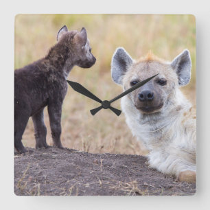 Relógio Quadrado Hyena com uma jovem
