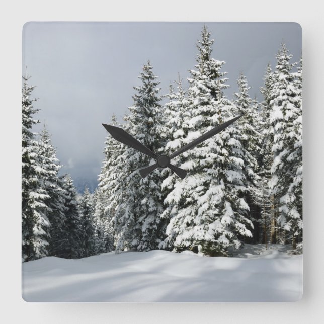Relógio Quadrado Ice & Snow | Pine Woodland, Austria (Frente)