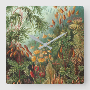 RELÓGIO QUADRADO ILUSTRAÇÃO DA NATUREZA POR ERNST HAECKEL