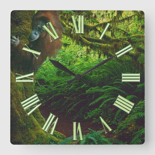 Relógio Quadrado Imagem 2 do Primato de Orangutan e Florestas Tropi (Frente)