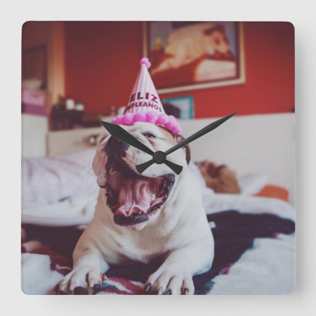 Relógio Quadrado Imagens Getty | Buldogue Britânico (Frente)