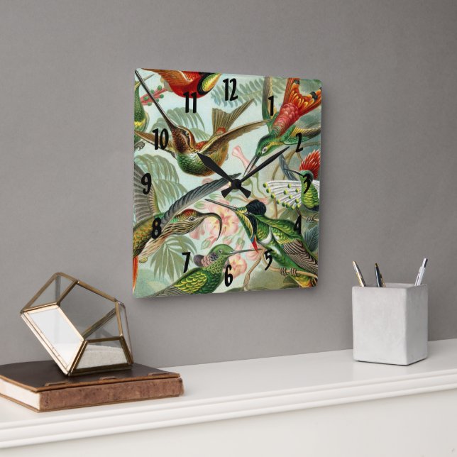 Relógio Quadrado Impressão da arte de Ernst Haeckel: Trochilidae (Escritório)