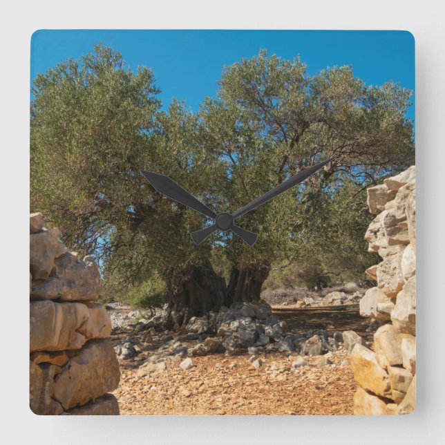 Relógio Quadrado Jardins Olivais de Lun (Frente)