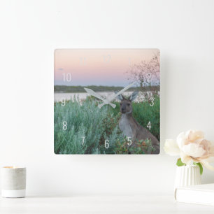 Relógio Quadrado Kangaroo Sunset no lago Austrália