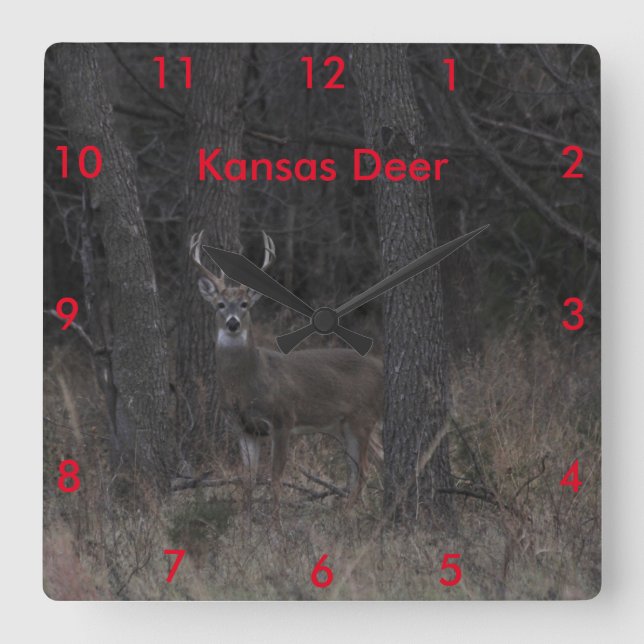 Relógio Quadrado Kansas Deer CLOCK (Frente)