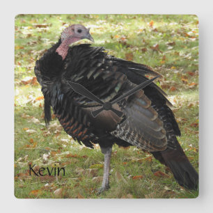 Relógio Quadrado Kevin The Turkey - Old Wethersfield, CT
