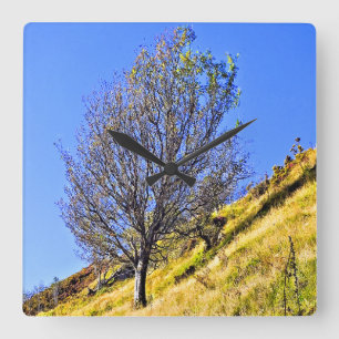 RELÓGIO QUADRADO L0NE TREE