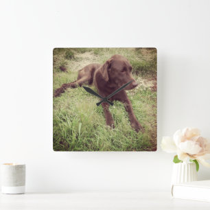 Relógio Quadrado Laboratório De Chocolate Deitado Em Fotografia De