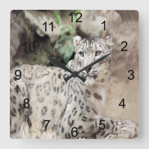 Relógio Quadrado Leopardo de Neve