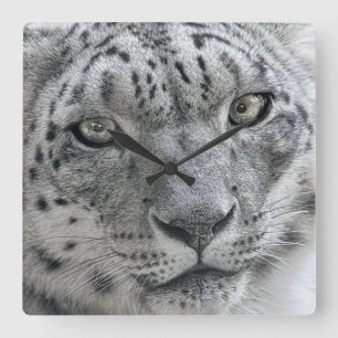 Relógio Quadrado Leopardo de neve branco exótico