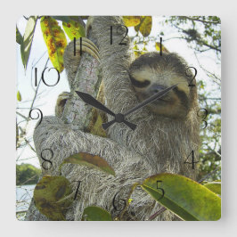 Relógio Quadrado Leve Para Cima Uma Árvore