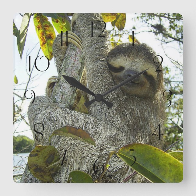 Relógio Quadrado Leve Para Cima Uma Árvore (Frente)