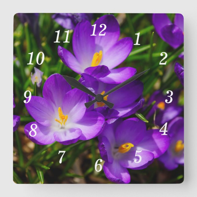 Relógio Quadrado Lilac Crocuses Wall Clock (Frente)