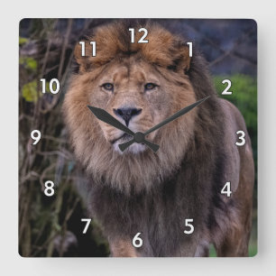 Relógio Quadrado Linda Leão na Natureza