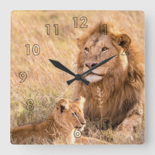 Relógio Quadrado Lion e seu Cub