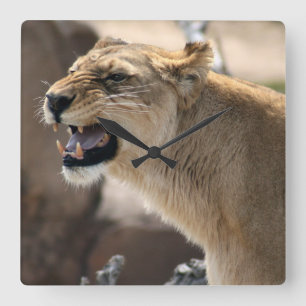 Relógio Quadrado Lioness - Rainha da Selva