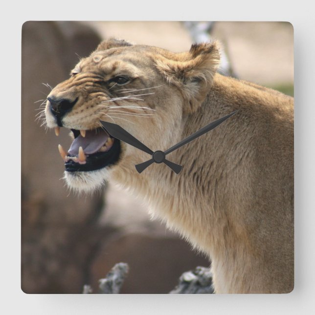 Relógio Quadrado Lioness - Rainha da Selva (Frente)