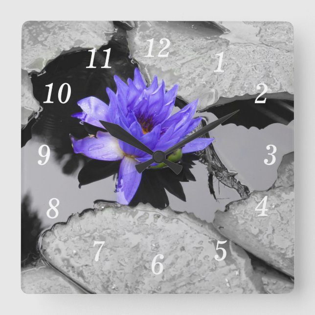 Relógio Quadrado Lone Water Lily Wall Clock (Frente)