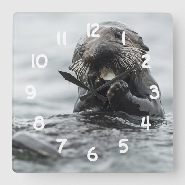Relógio Quadrado Lontra do Mar Adorável (Frente)