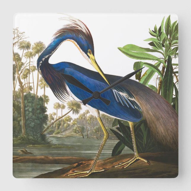 Relógio Quadrado Louisiana Heron por John James Audubon (Frente)