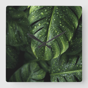 Relógio Quadrado Lush Monstera Leaves with Morning Dew Drops