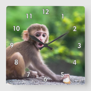 Relógio Quadrado Macaco-bebê bonito e adorável