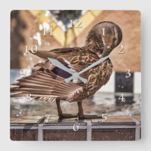 RELÓGIO QUADRADO MALLARD DUCK GETAWAY RESORT SPA