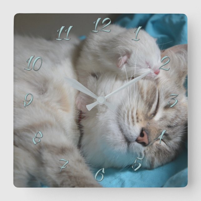 Relógio Quadrado Mamãe e gatinhos (Frente)