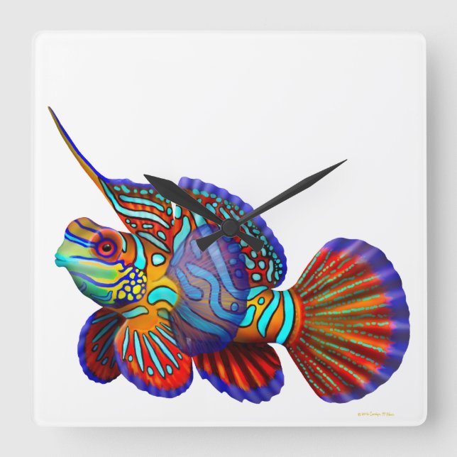 Relógio Quadrado Mandarin Dragonet Goby Fish Wall Clock (Frente)