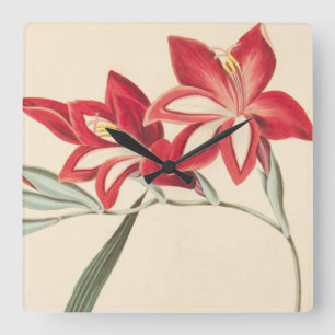 Relógio Quadrado Milho-Bandeira magnífica