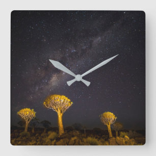 Relógio Quadrado Milky Way Quiver Tree   Keetmanshoop Namibia