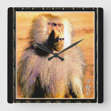 Modelos primatas: Hamadryas baboon 01