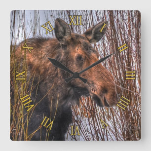 Relógio Quadrado Mose Selvagem Canadiana na Neve de inverno I