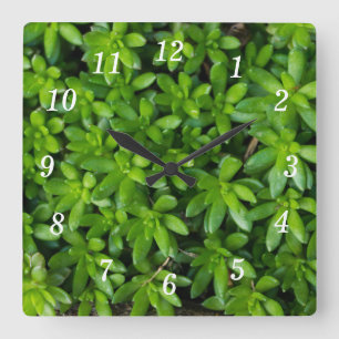 Relógio Quadrado Moss Abstrato Wall Clock